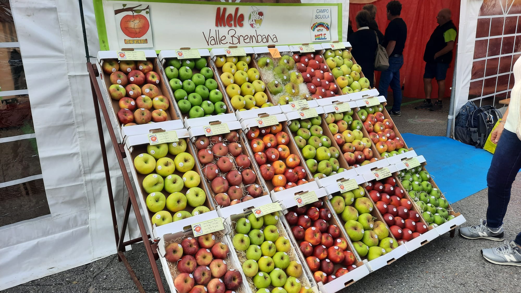 A Moio de’ Calvi le mele antiche entrano nella Festa della Mela