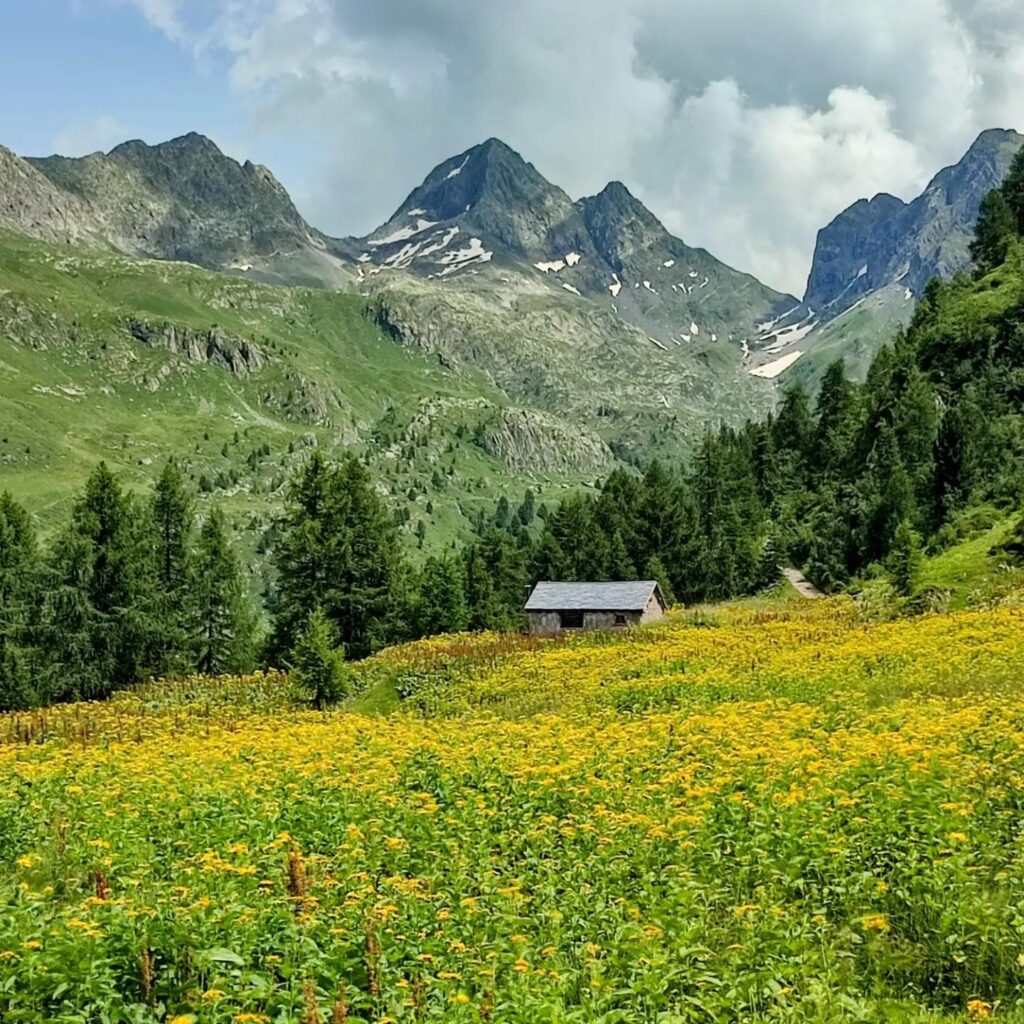 Il 9 agosto la “Giornata internazionale della #vallebrembana❤️”, sui Social foto e video!