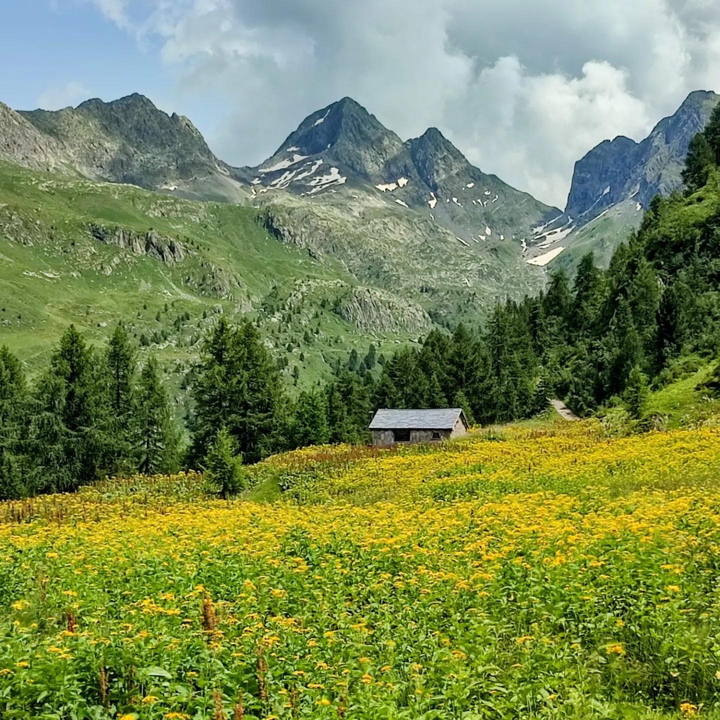 Il 9 agosto la “Giornata internazionale della #vallebrembana❤️”, sui Social foto e video!