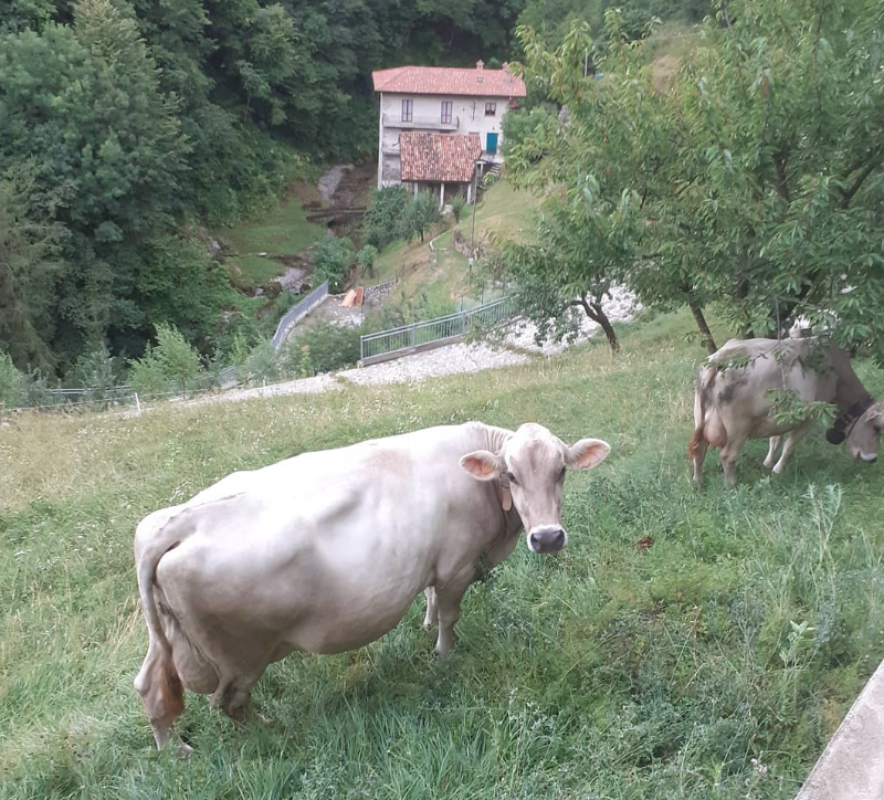 Azienda Agricola Panda – San Pellegrino Terme