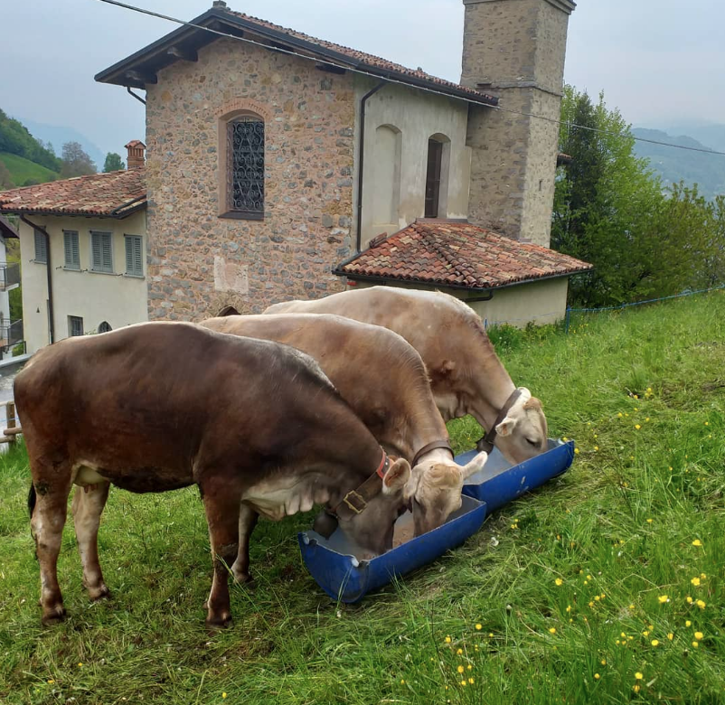 Azienda Agricola Panda – San Pellegrino Terme