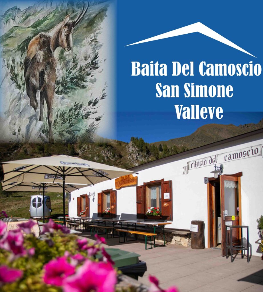 Camoscio Baita San Simone