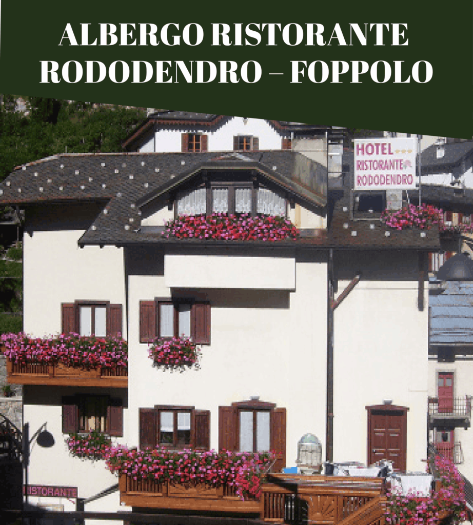 Rododendro Foppolo