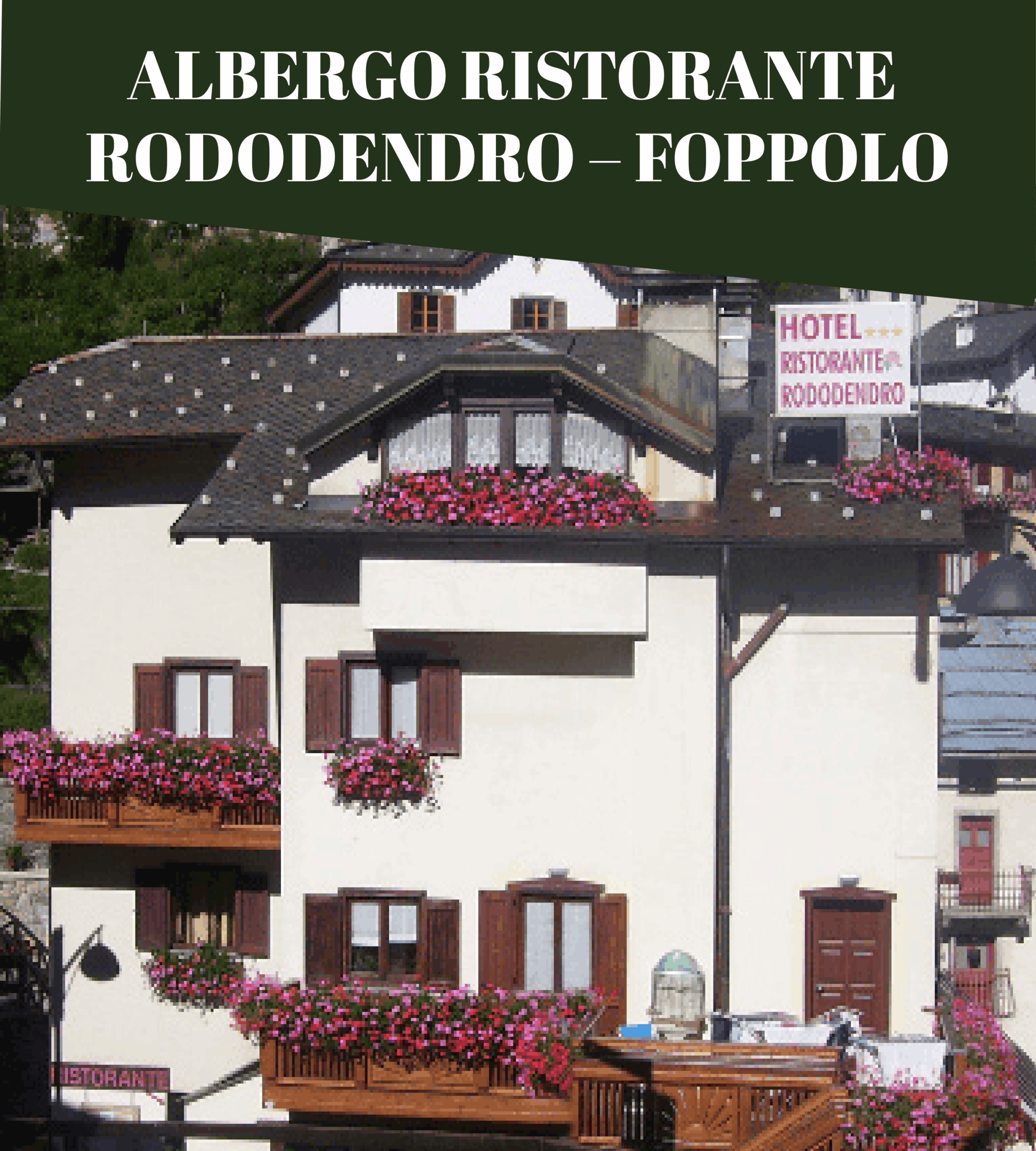 Rododendro Foppolo