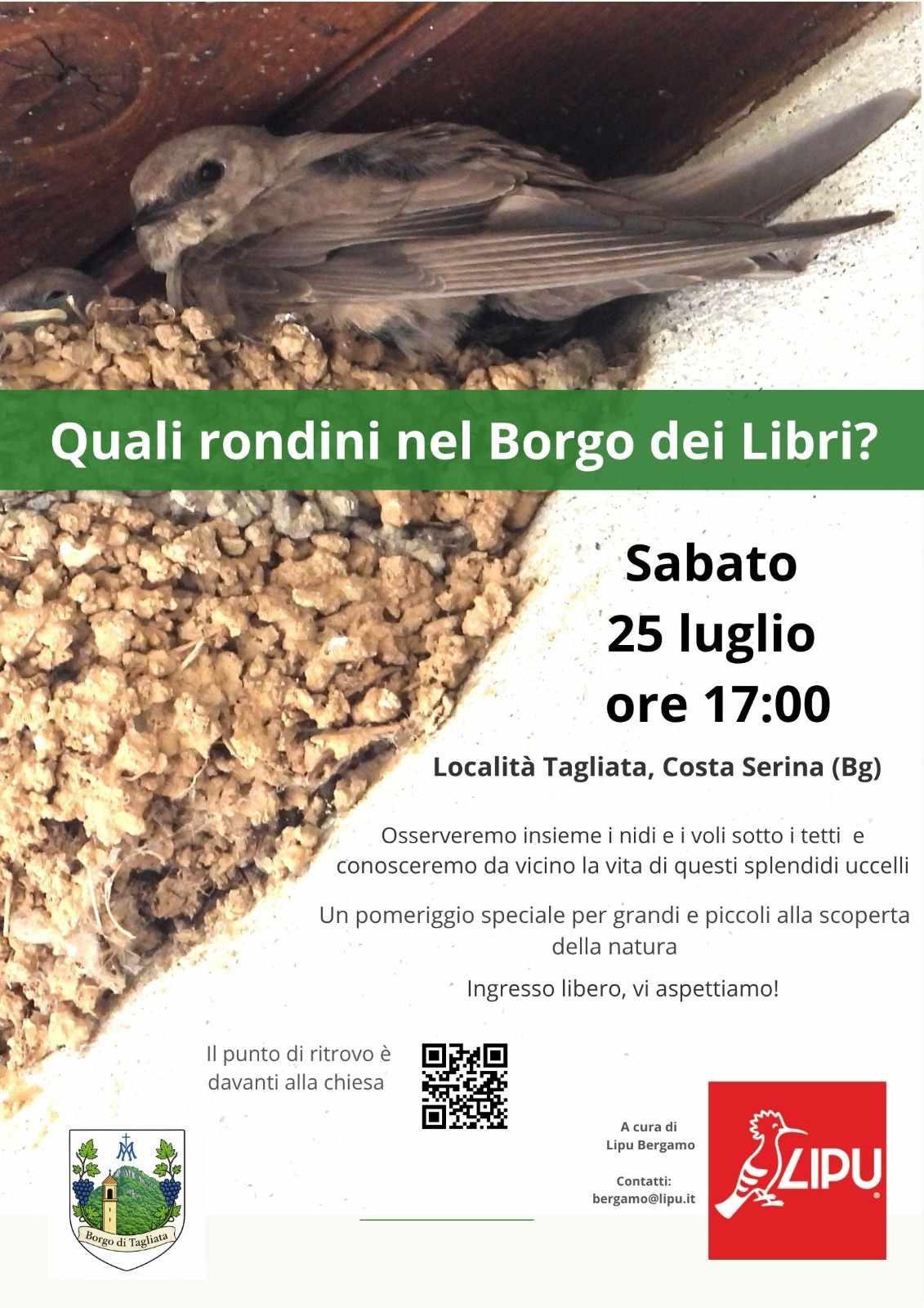 Quali rondini nel Borgo dei Libri? – Cosa Serina