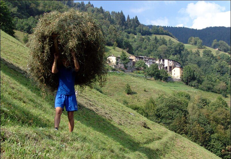 Valle Brembana, dalla Regione oltre 150 mila euro per l’agricoltura di montagna