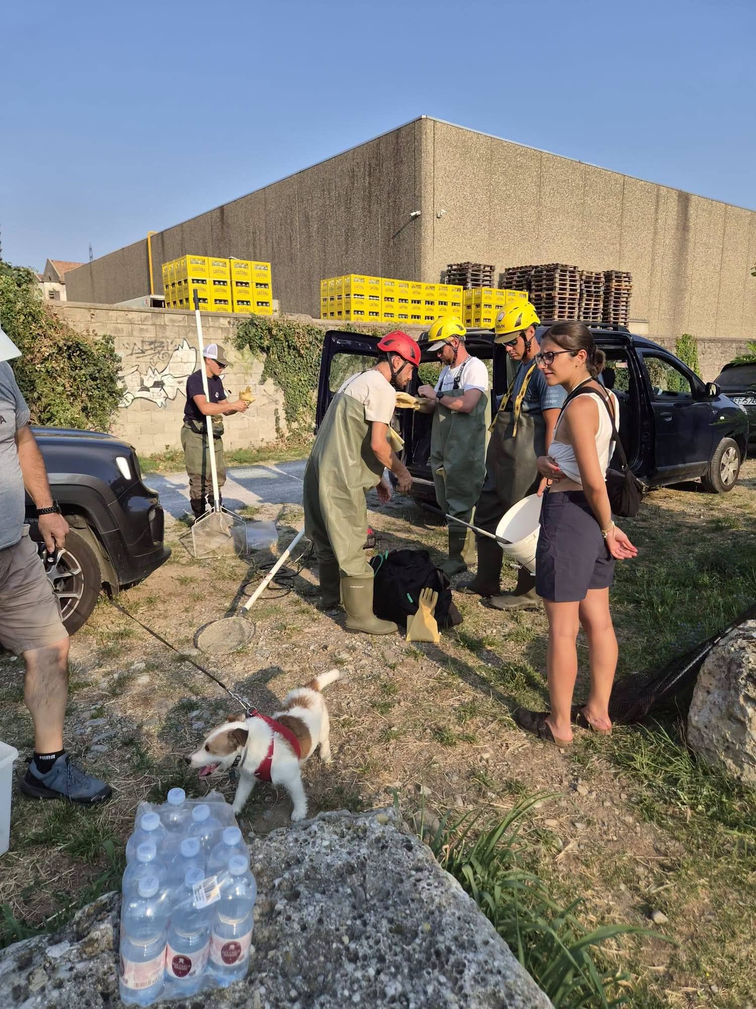Poca acqua e calda, salvati 2.000 pesci nel Brembo a Villa d’Almè
