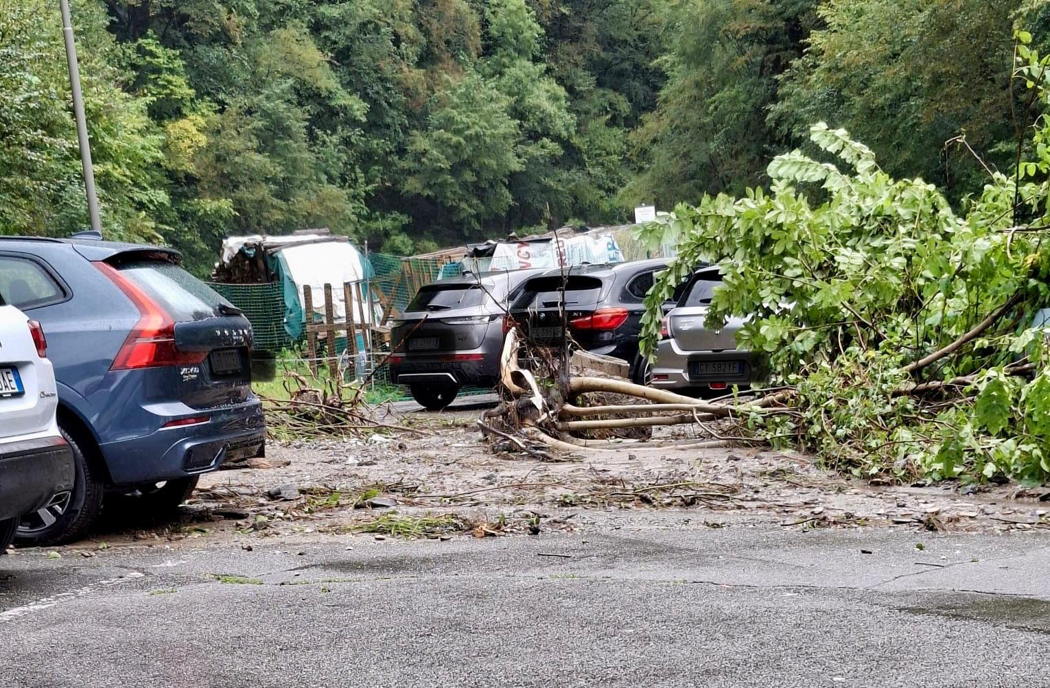 Frana sul parcheggio a Branzi, terra e alberi sulle auto VIDEO