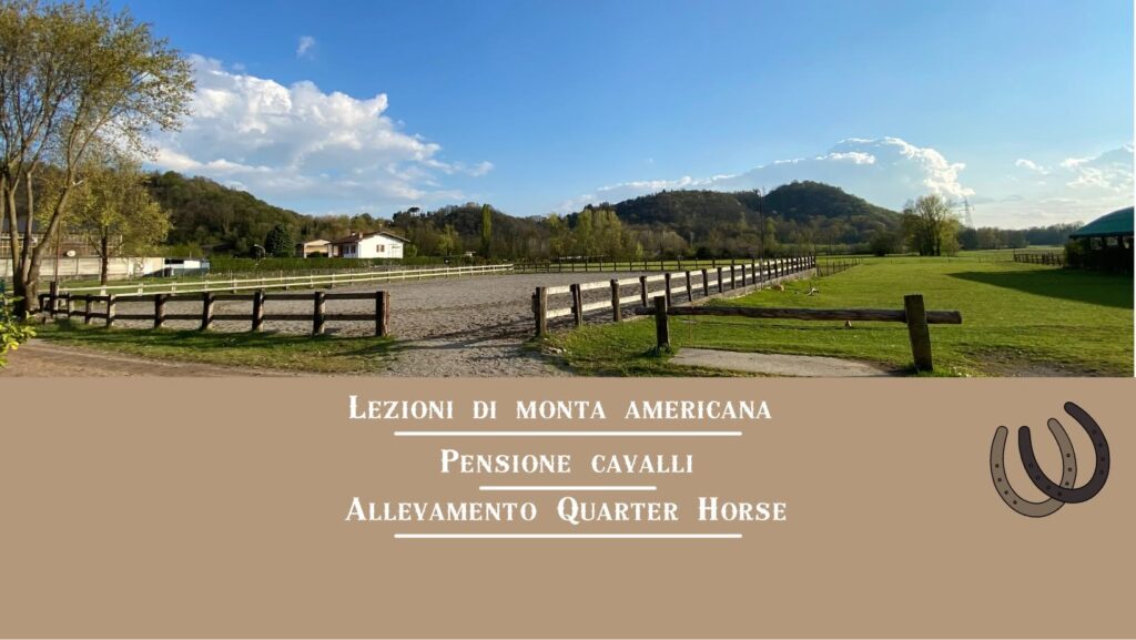 Valbrembo, disarcionata da cavallo: grave 47enne