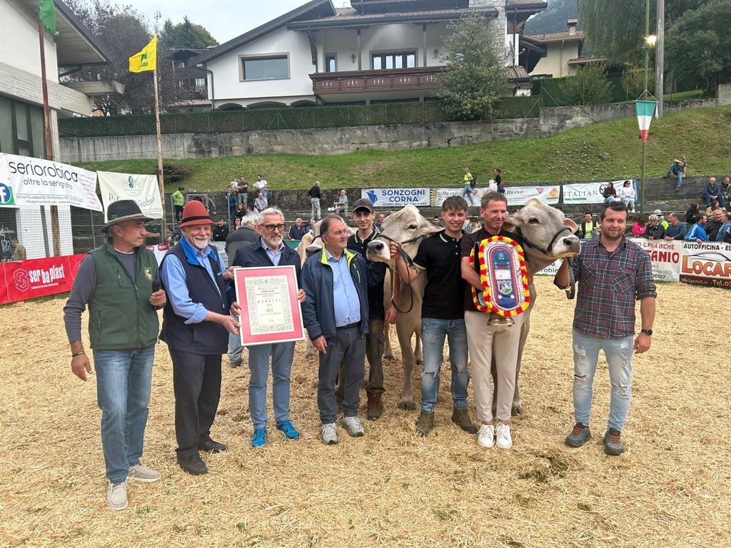 Fiera di Serina 2026, Nevada è la Regina: premiate anche Prada e Alter – Foto/Video