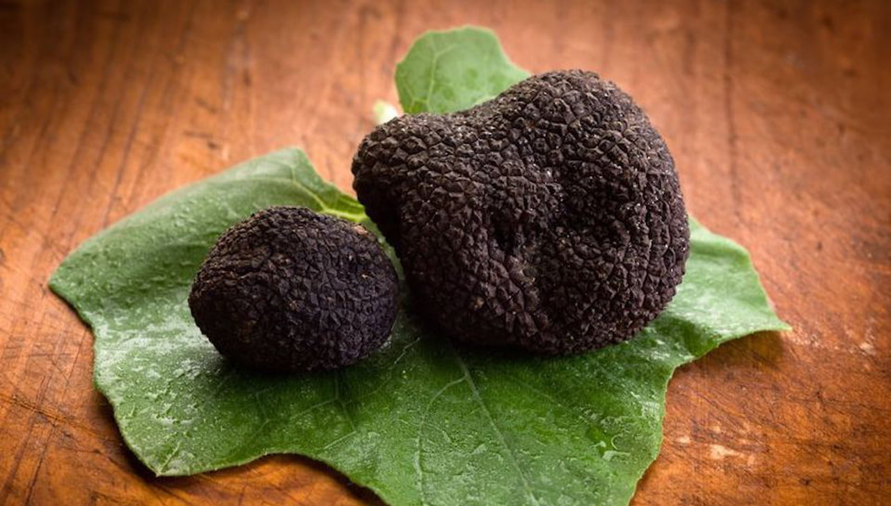 Bracca celebra il suo tartufo nero: concorsi, degustazioni e spettacoli