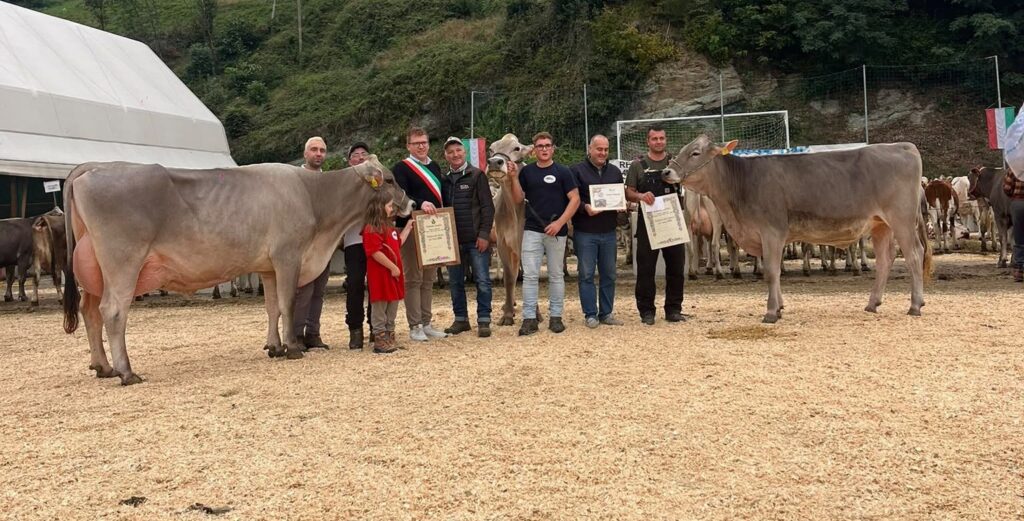 Fiera zootecnica di Camerata, vittoria bis per l’azienda di Matteo Pesenti