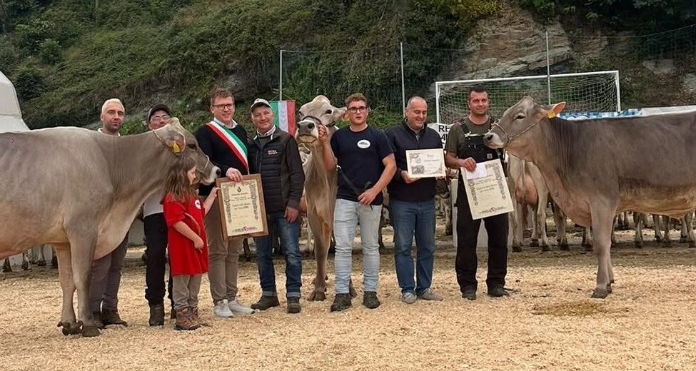 Fiera zootecnica di Camerata, vittoria bis per l’azienda di Matteo Pesenti