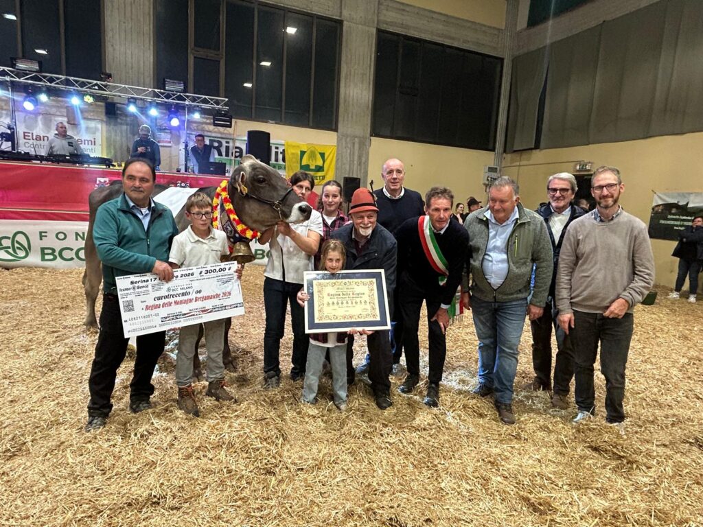 Fiere zootecniche, la mucca Regina delle Orobie arriva da Dossena – VIDEO