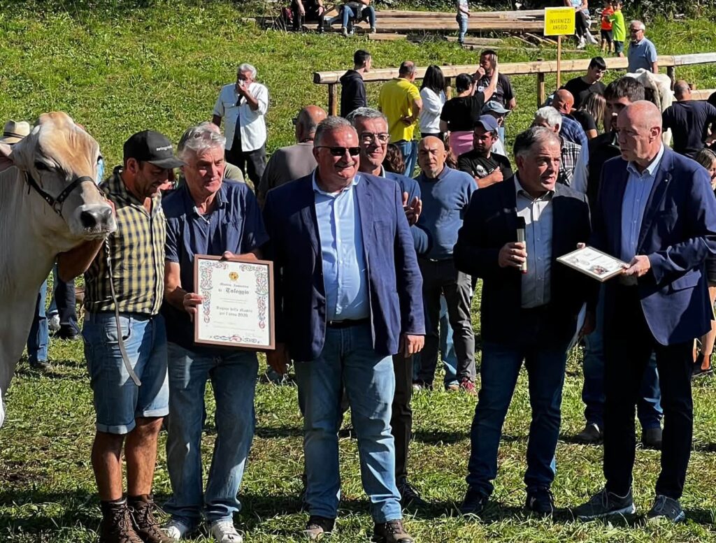 Le Regine delle fiere zootecniche: Candy a Dossena e Michela in Val Taleggio