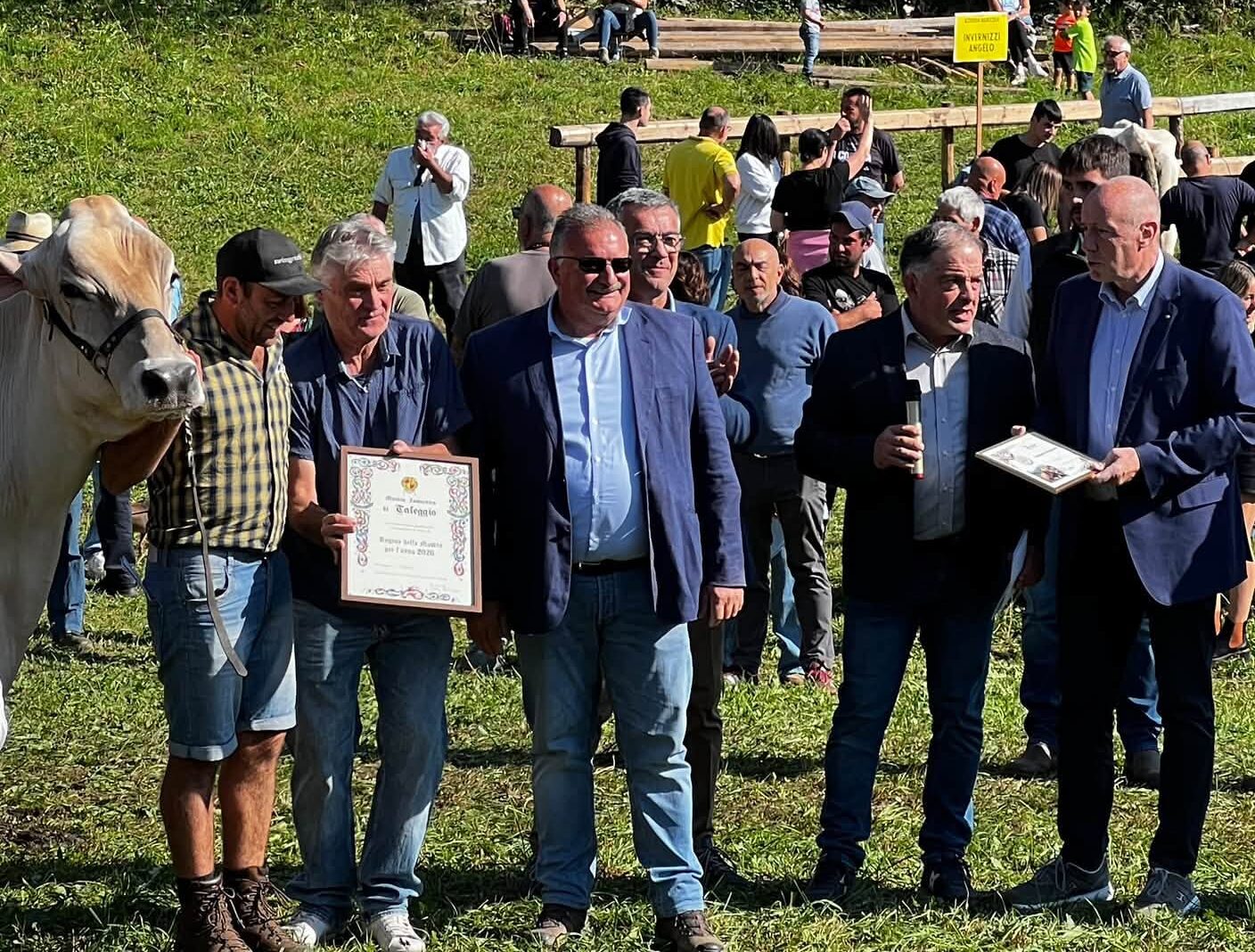 Le Regine delle fiere zootecniche: Candy a Dossena e Michela in Val Taleggio